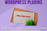 The Ultimate Guide to WordPress Plugins