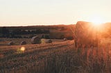 Hay bales in setting sun. Golds and browns.