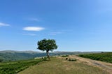 South Dartmoor 50 Mile Loop