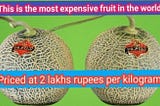 This is the most expensive fruit in the world, priced at 2 lakhs rupees per kilogram.