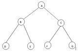 TREES DATA STRUCTURES