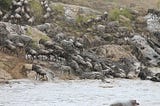 Serengeti with Eyes of Tanzania