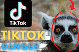 TikTok Troubles: The Surprising Disadvantages of the Viral Video App.