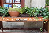 Potted plants sit atop an empty newspaper rack.