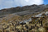 Parque Nacional Natural El Cocuy 🇨🇴