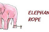elephant and rope moral story