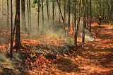 Protect Outdoor Workers with Prescribed Fires