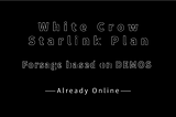 White Crow-Starlink Plan, DEMOS-based Forsage Already Opened Global Registration