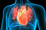 Pericardiocentesis in Cardiac Tamponade — Innovative Treatment Methods