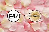 EIV x Bitchcoin: If You Didn’t Know, Now You Know