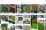 DreamzAR App: Power of creativity in your hands with — a DIY Landscape Design with AR