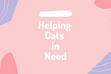 Helping Cats in Need!