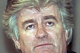 Capturing Karadzic