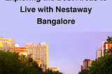 Neighborhood Spotlight: Exploring the Best Areas to Live with Nestaway Bangalore