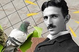 Today I Learned That Nikola Tesla Fell in Love With a Pigeon