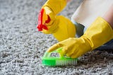 Reviving Your Floors: The Essentials of Carpet Cleaning