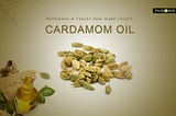 PROPERTIES & USAGES THAT MAKE CARDAMOM OIL UNIQUE