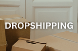 I Tried Dropshipping for 2 Weeks and Here’s How Much I Made