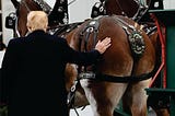 Is Your Leadership A Bunch Of Horses Arses?