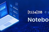 TileDB Cloud: Notebooks