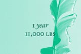 1 year. 11,000 lbs.