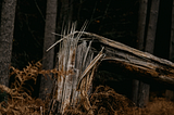If a Stockmarket Falls in a Republican Forest, Does it Make a Sound?