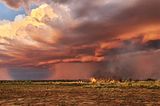 How Kimberley Land Council’s Indigenous rangers bring 65,000 years of expertise to Earth Engine…