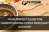 Your Perfect Guide for Understanding Forex Merchant Account