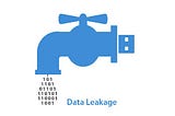 Data Leakage