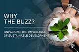 Why the Buzz? Unpacking the Importance of Sustainable Development