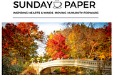 Creator Spotlight: The Sunday Paper