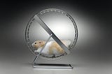 Hamster wheel