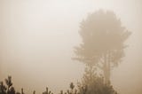 In Haze: Our Past, Present and Future