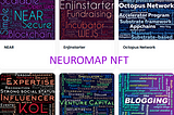 Custom NEUROMAP NFTs