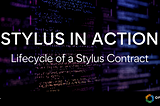 Stylus in Action: Lifecycle of a Stylus Contract