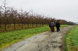 Buddhist Nuns across the plum fields in Bordeaux