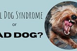 Snarling dog and message Small dog syndrome or bad dog?