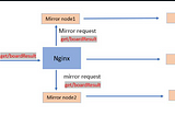 Application of Nginx Mirroring