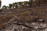 Crime de desmatamento seguido de queimada na região da Bacia do Rio das Pedras, em 2020. Foto: Cléber Moletta/Rádio Cultura Fm Guarapuava.