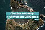 Circular Economy: A Convenient Disruption — Part 2