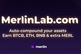 A REVIEW OF THE MERLINLAB PLATFORM AND THE $MERL TOKEN