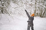 Snow Day In SoCal