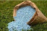 Will cheap fertilizers restore food security in Malawi?
