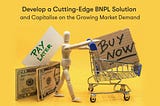 Develop a Cutting-Edge BNPL Solution and Capitalize on the Growing Market Demand