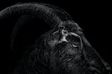 Entendendo o filme “A Bruxa” — Por entre o satanismo, ignorância e desprendimento