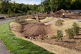 Duluth park revamp incorporates stormwater treatment, aids trout