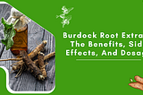 Burdock Root Extract: The Benefits, Side Effects, And Dosage