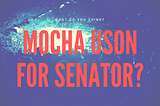 Mocha Uson for Senator?