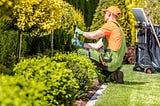 Creative Landscaping Ideas for Small Spaces