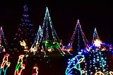 The Best Christmas Lights in Salem County —